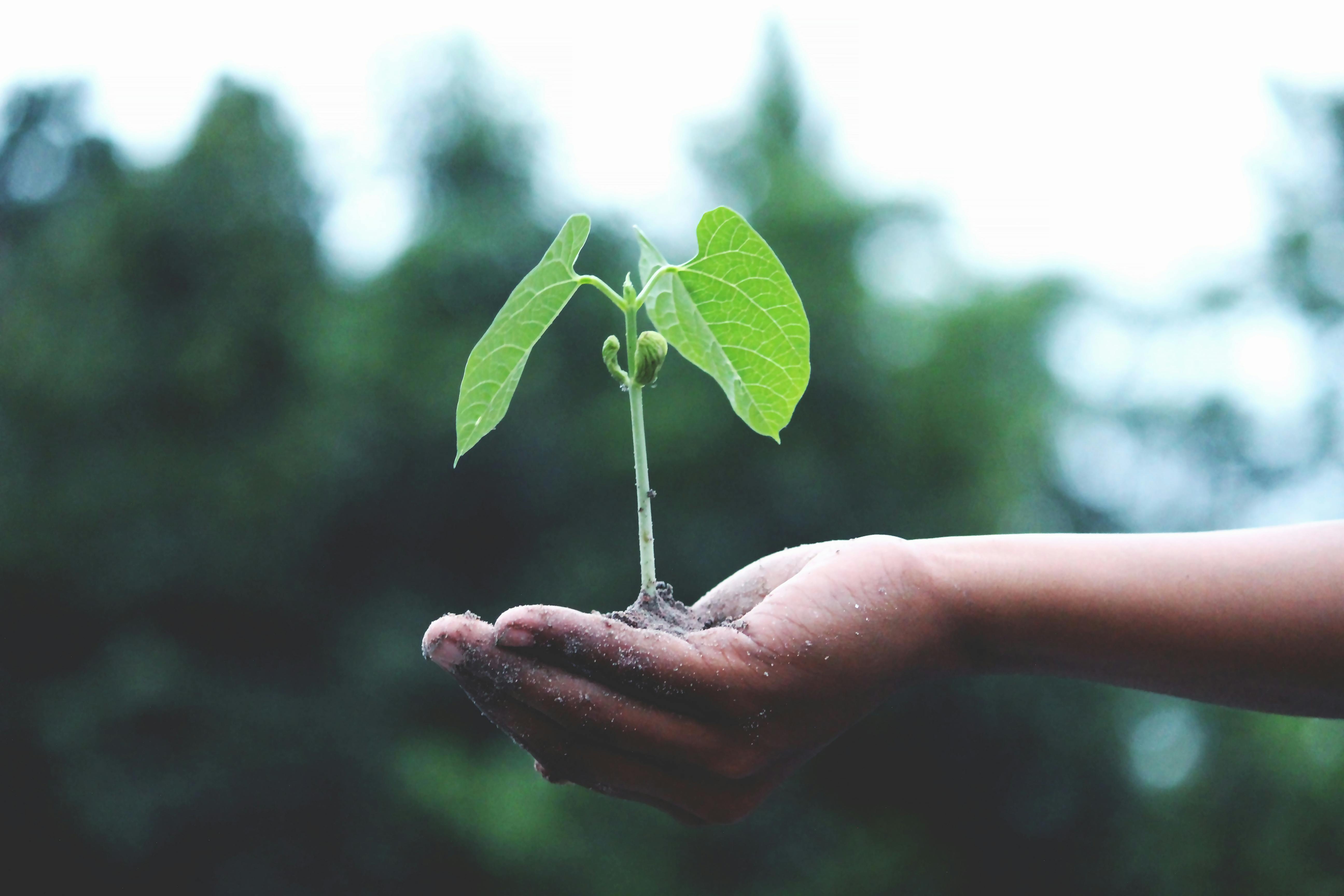 Empowering Sustainable Growth: How ETS Ventures Is Driving the Future of Emerging Markets